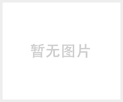 艾灸仪，艾灸仪器，艾灸养生仪